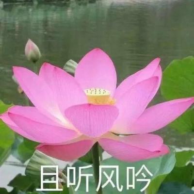 九叹